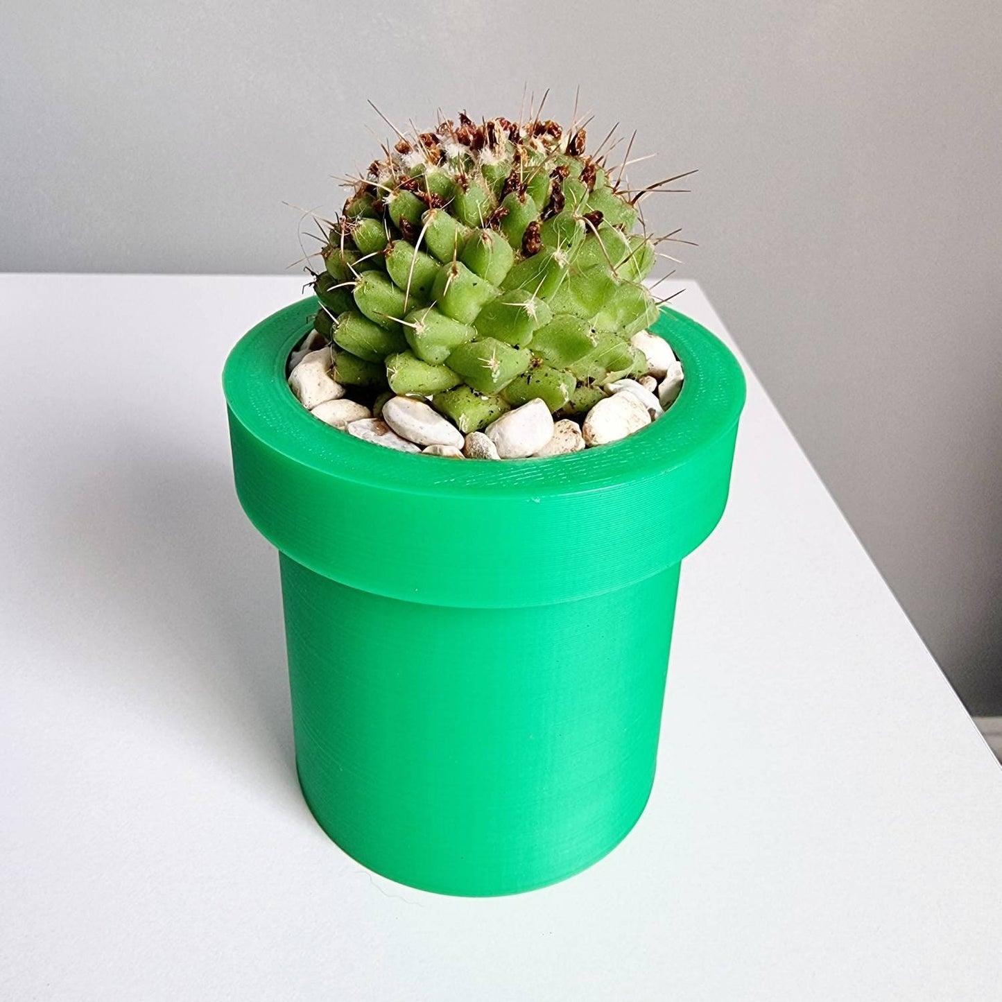 Mario Pipe Planter | plant pot